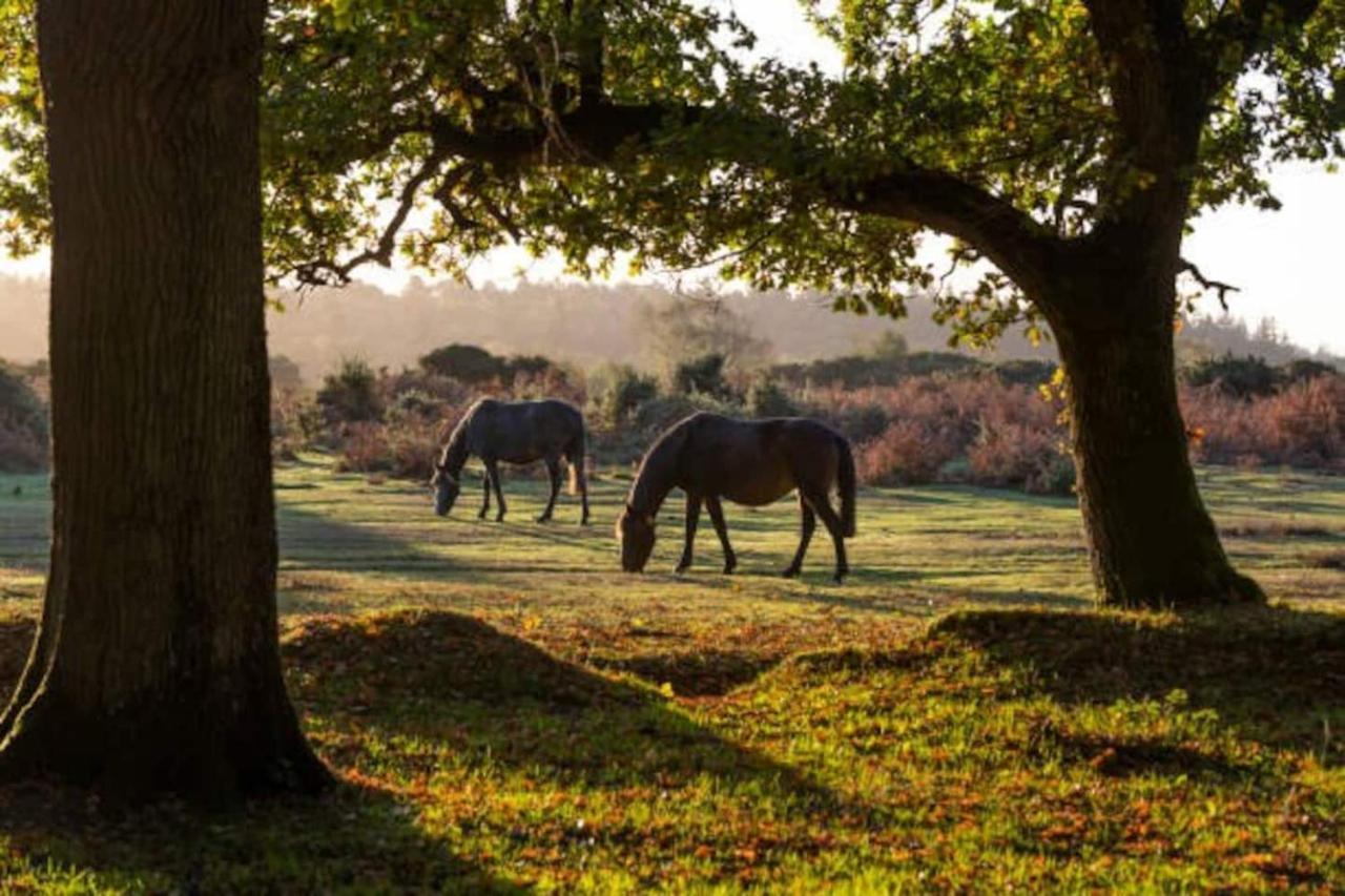 New Forest Retreat Shorefield Country Park Лимингтон Экстерьер фото